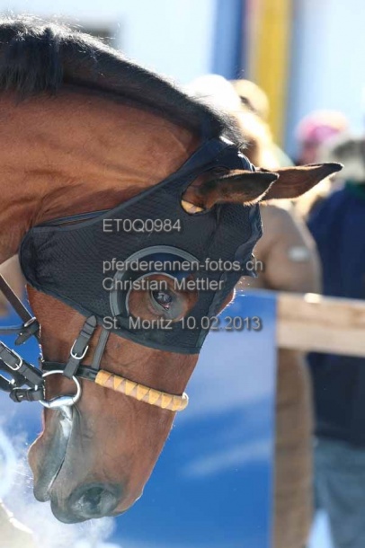 ET0Q0984 prot